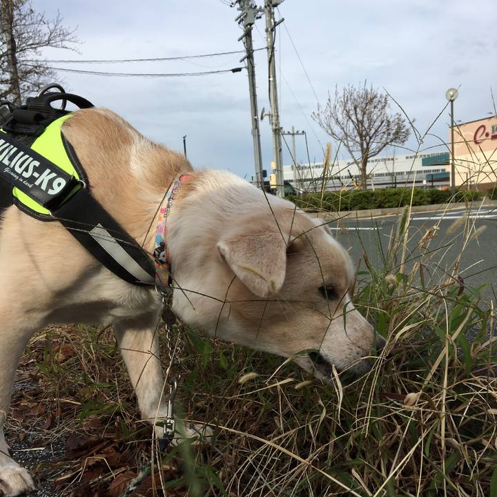 B408c5d0 4e51 45d0 a4e7 4cb89a573c91 1540250111872