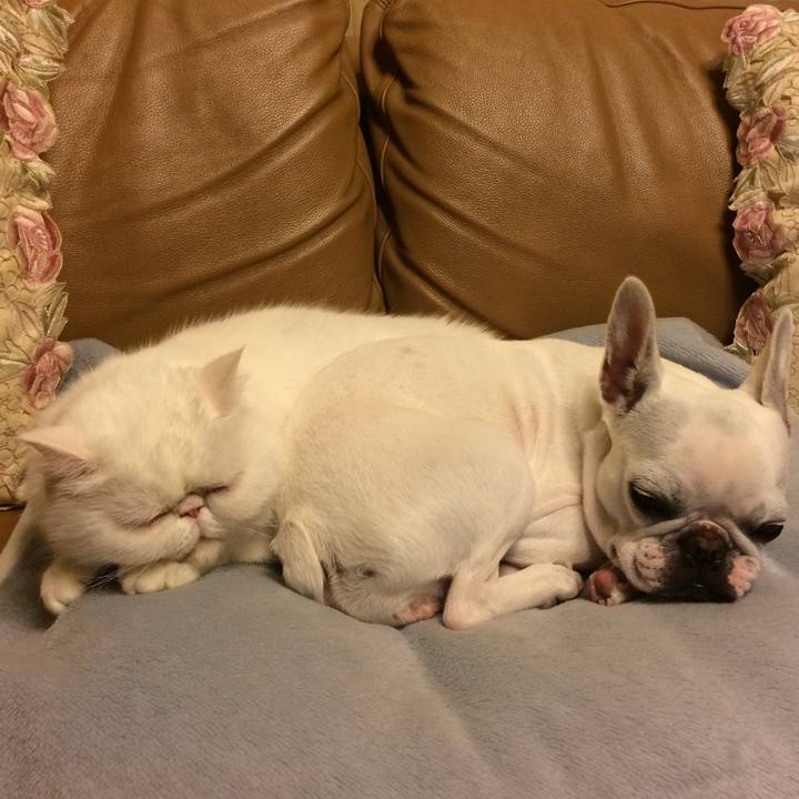 B408d0a6 d708 42ab 9464 429b2fee6d66 1558439507701