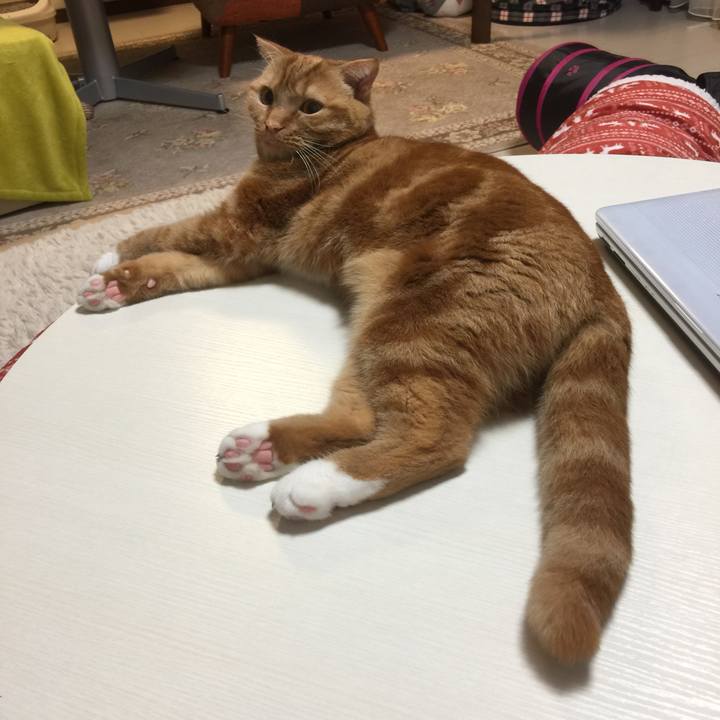 B408fcff c13e 40cd a6fe f942f64ae0f0 1554853236397