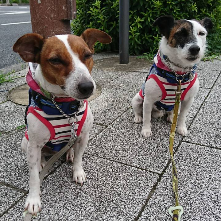 B409015f 7867 47dc 9ca1 bc8d443e0974 1594594958829