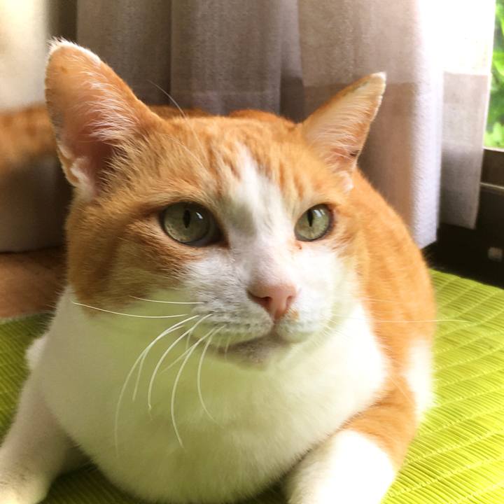 B4092163 d672 4618 a361 2bfe9d154004 1621462066294