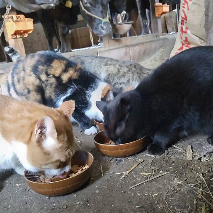 B4092f51 e9b9 40d2 83ac c72a9e99c1cf 1631311518211