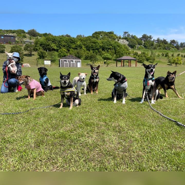 B4093347 02ad 42a1 91b8 0ca7c35ca50a 1653227984530