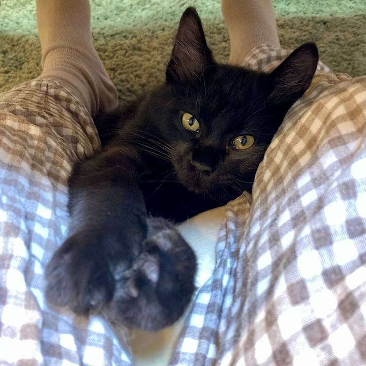 B409368c b528 4398 9047 5c92263a8bed 1703163667679