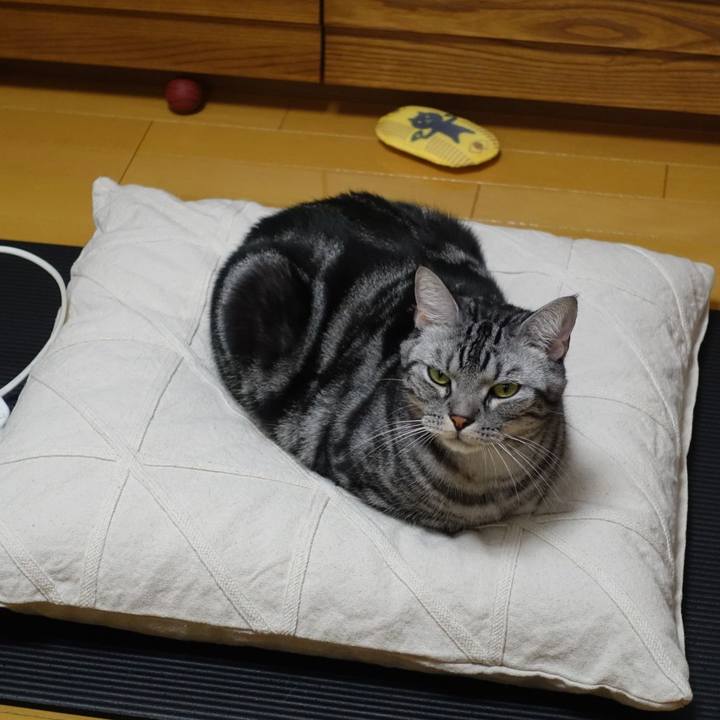 B4093923 1d77 4156 b636 b620014baa0e 1549020735059