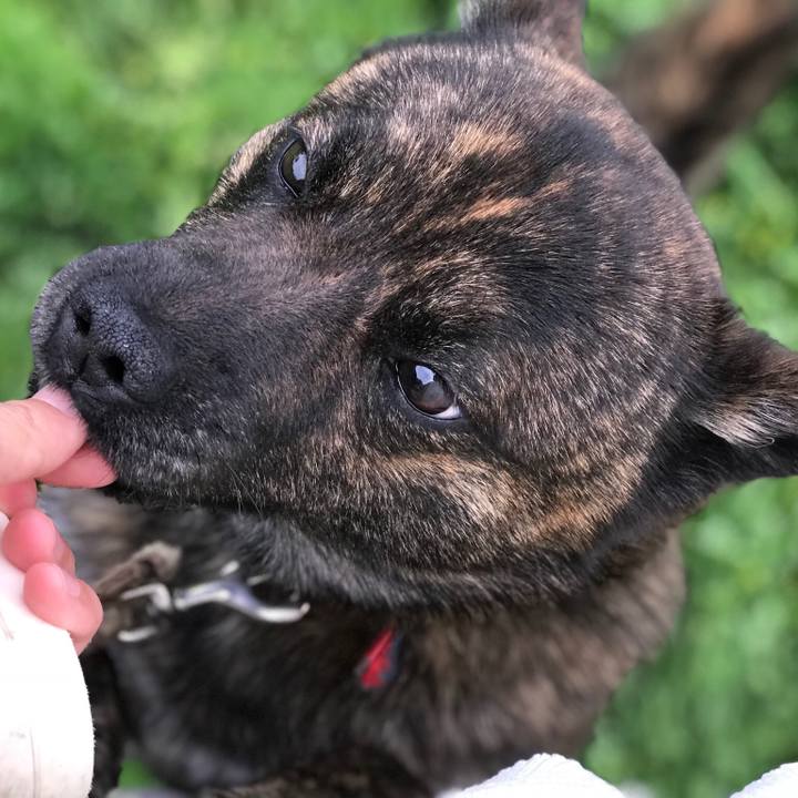 B40940e9 a902 4b11 9a78 75e5a8a31d9f 1526463910385