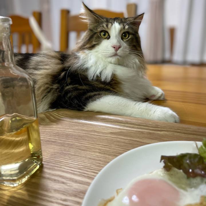 B40974ae 73a3 47fb bf22 e7f5f589c6fc 1642798569827