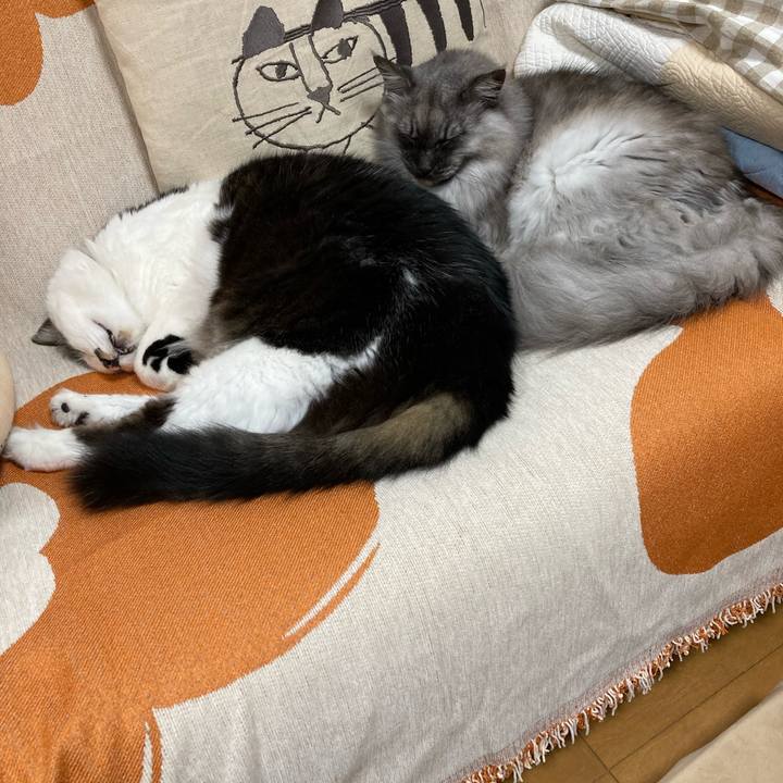 B4097c87 20c8 4bd2 ada8 bb84228bca00 1714726466649