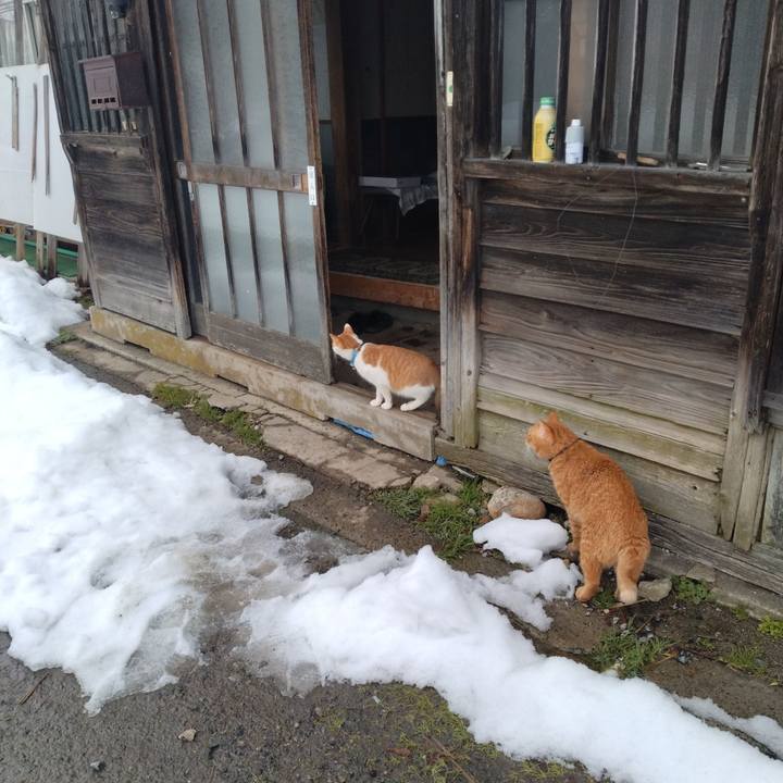 B409c6e4 ca3d 4ac0 bd1a fc392e2c43af 1736059216450