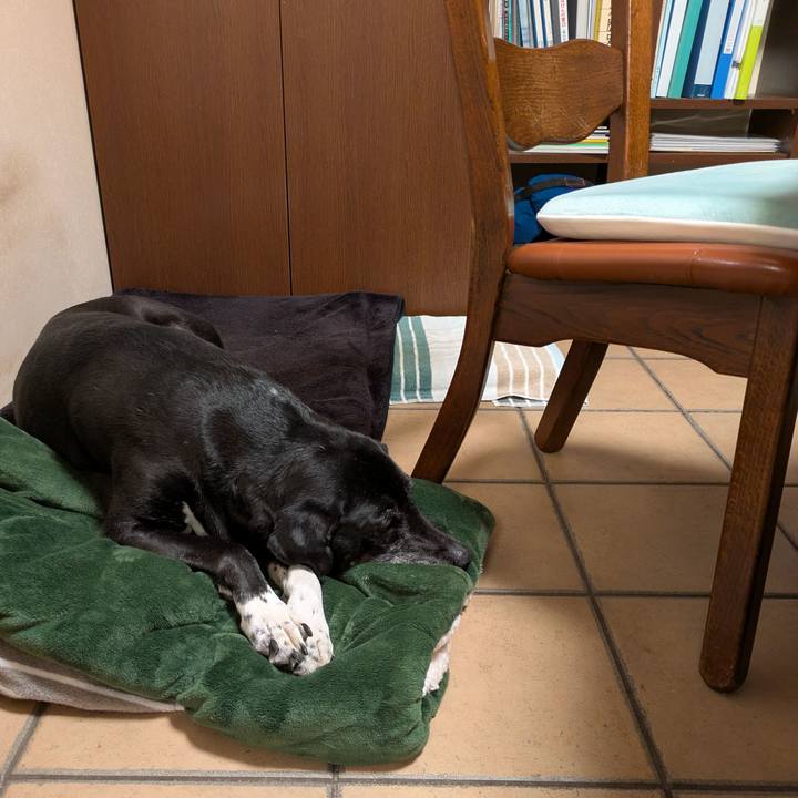 B409d585 f26a 488e 933c 63addfd92297 1740306343052