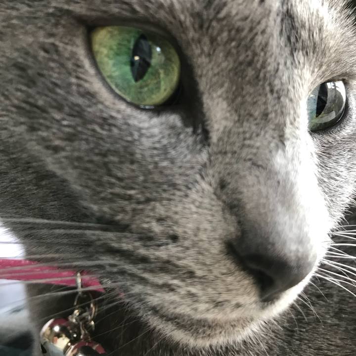 B40a3728 fcef 4acb 958d 0498a13d12e6 1519427888565