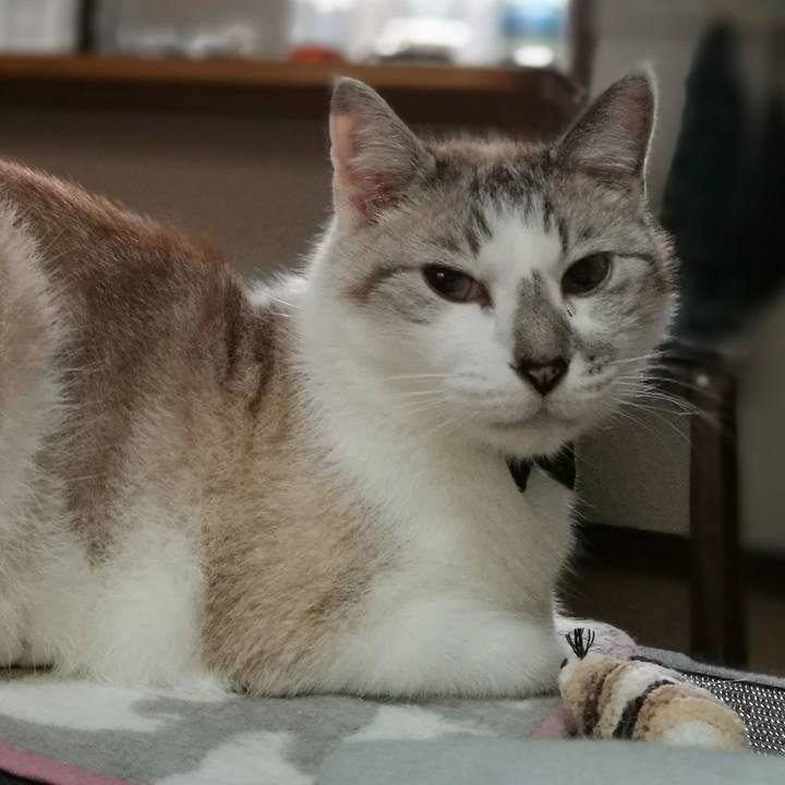 B40a7c60 6eb2 460a 8012 2930465a7d55 1531483986966