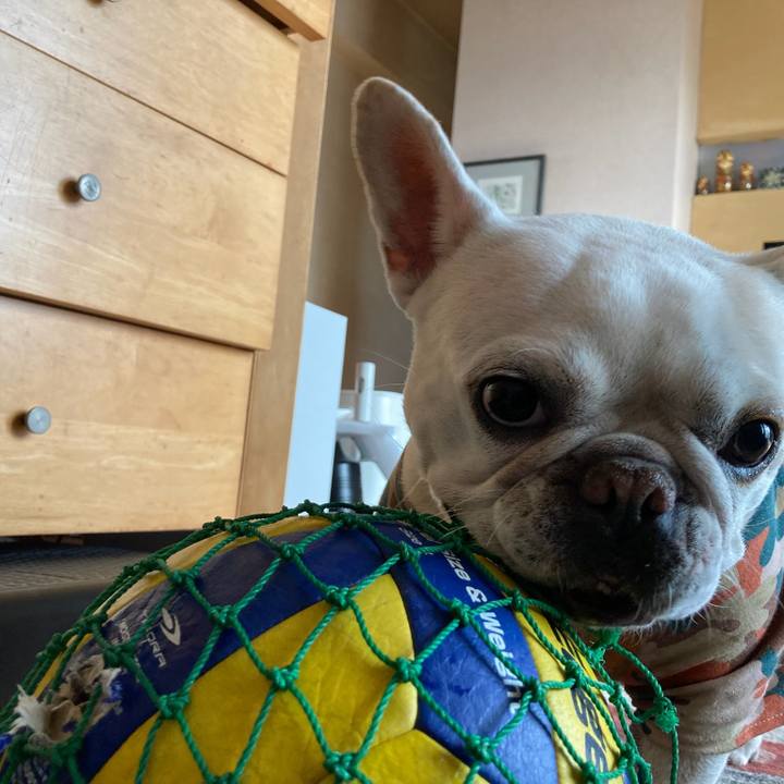 B40a843e 3b8a 4744 b55d 96e842c0fbe9 1737018157248