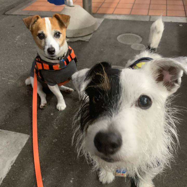 B40a96c1 c802 4be4 8247 2ef358111c06 1633868335345