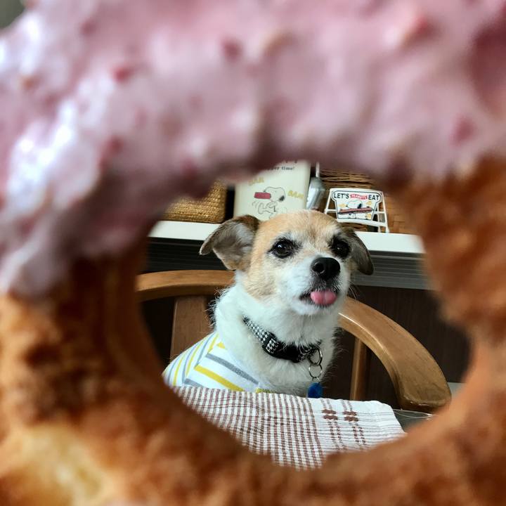 B40acfc5 2a3e 43e5 9f21 267922fc6347 1616565605782