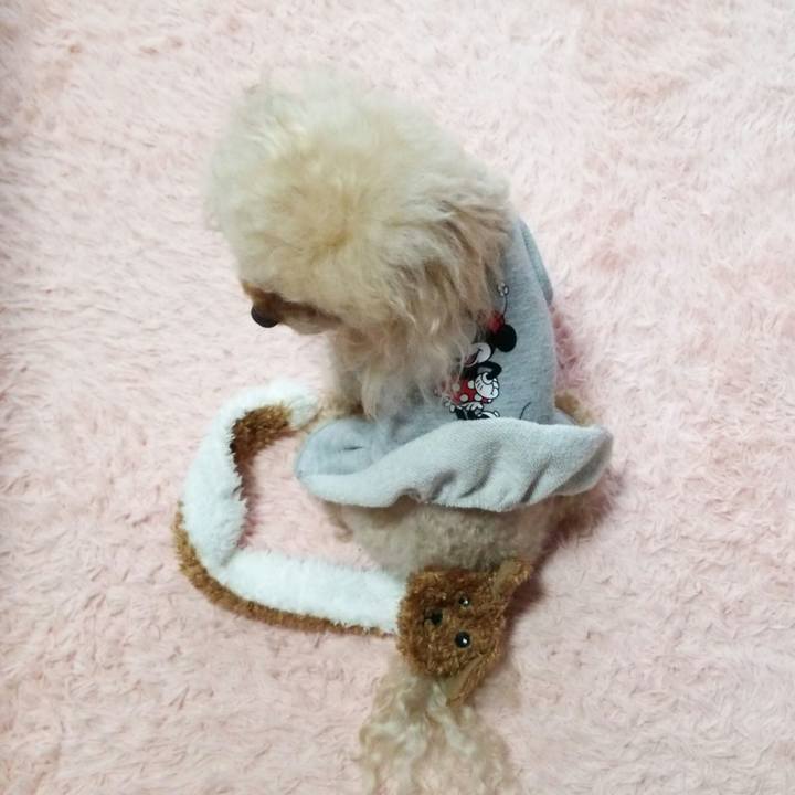 B40afe14 53d8 4e87 9913 c45be259bf59 1539774202229