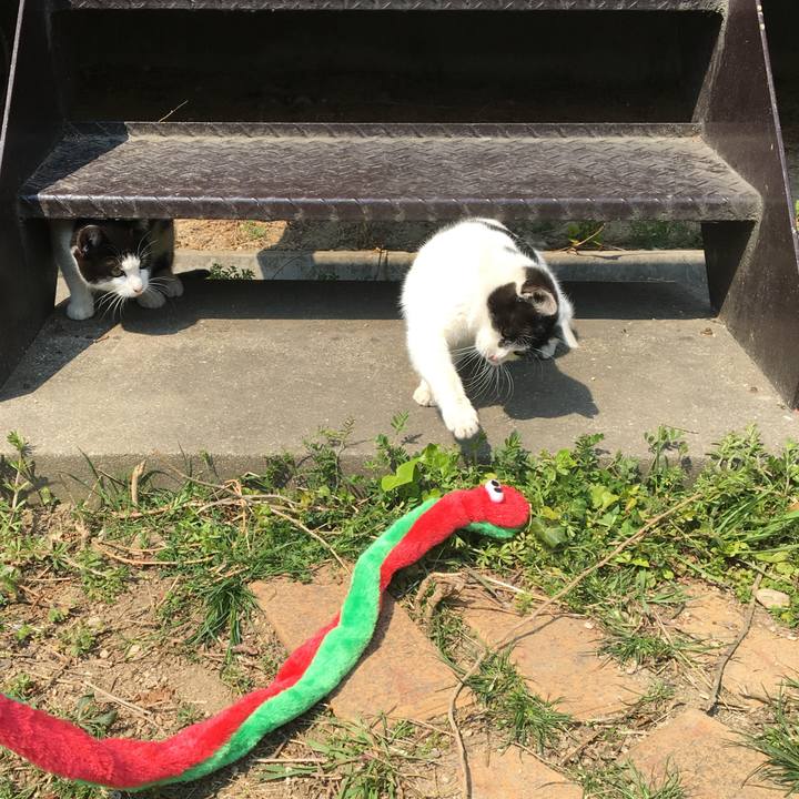 B40b3d5a 89b5 4980 b48c 90768287002a 1702393909778