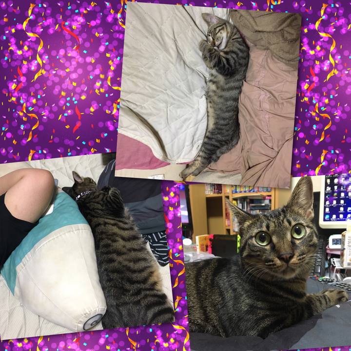 B40b594d 0de2 436c b236 1ddfbee620f2 1567567436372