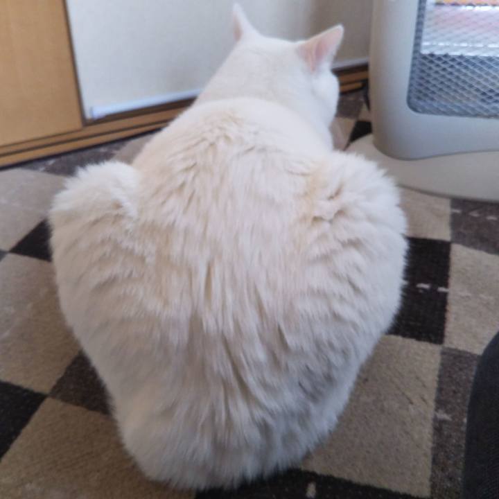 B40b675e 9dcd 42c3 93c1 6e65c487063d 1552529793563