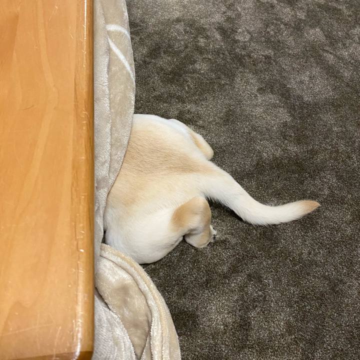 B40b8cdd 7f62 41e1 a8fa cbc41df0e036 1613207353206