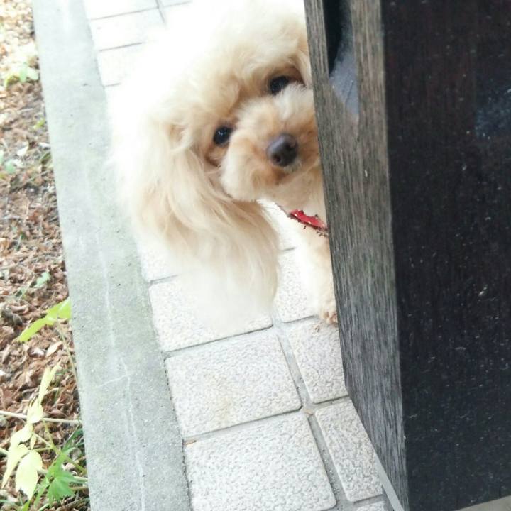 B40b98d1 cc4c 40dd 9fb0 f9ab30584166 1547124084120