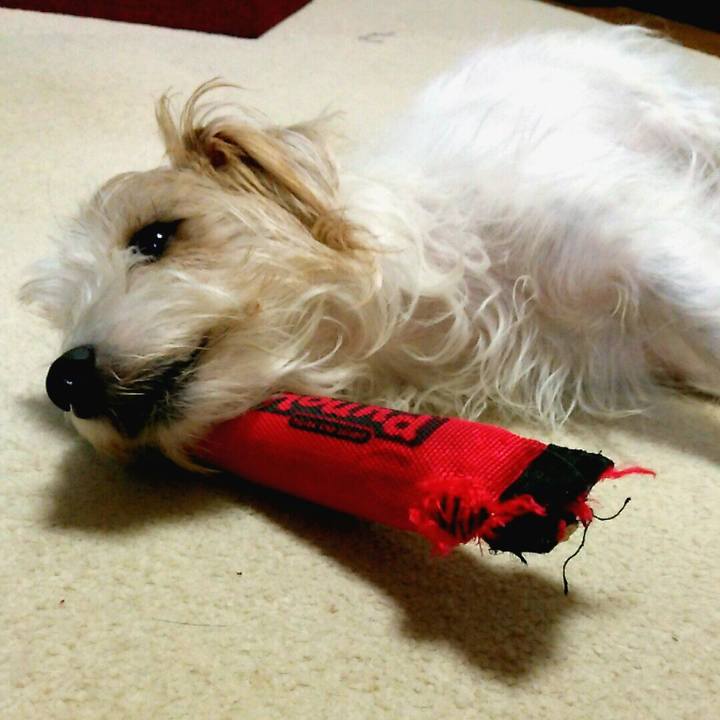 B40bc0a9 44ec 488c af2c d251163e2172 1512742274705