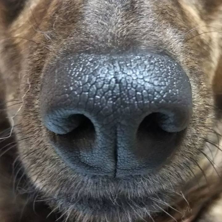 B40bc203 61d3 4981 b04b a65b3cd668a5 1523533266709