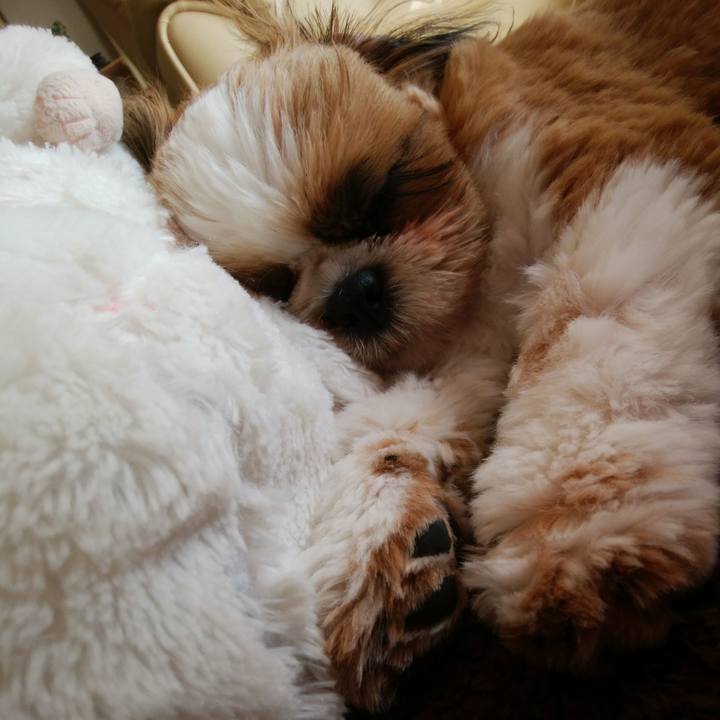 B40bc9ea f3c3 40de 9f95 b5845417d0ba 1541217448208