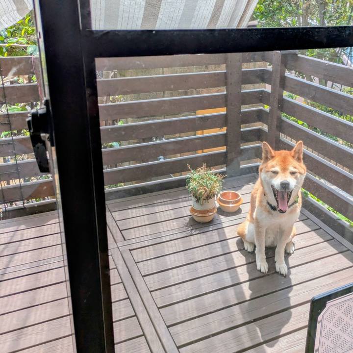 B40bd0a6 4241 4a64 bf4f 1f7bc614a0c0 1751343249112