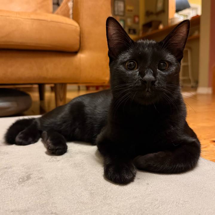 B40bdab4 314a 475b a20c 63d841a5d78f 1760615387412