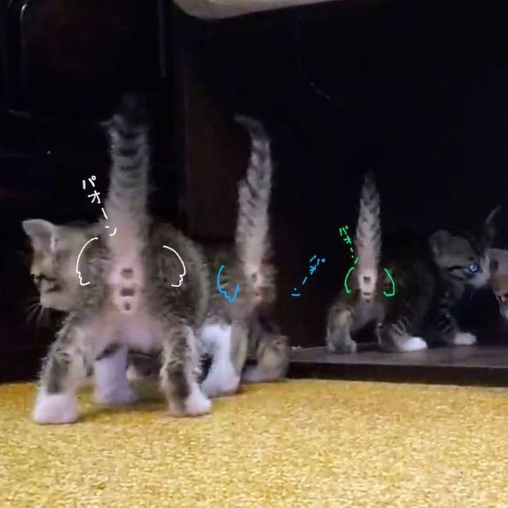 B40be59e 3cb2 4cc1 9ec0 65500e50a81f 1639869718914