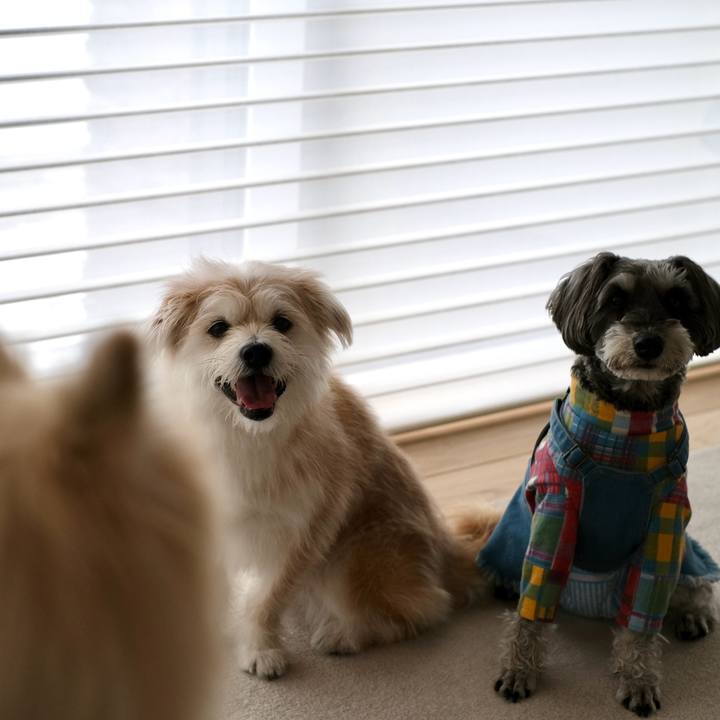 B40beadd 520d 4456 962e 0cae28fa878a 1771753591288