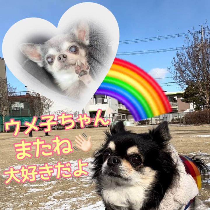 B40c0e25 a9b1 412d b74d 8d62ac4e024d 1674880559081