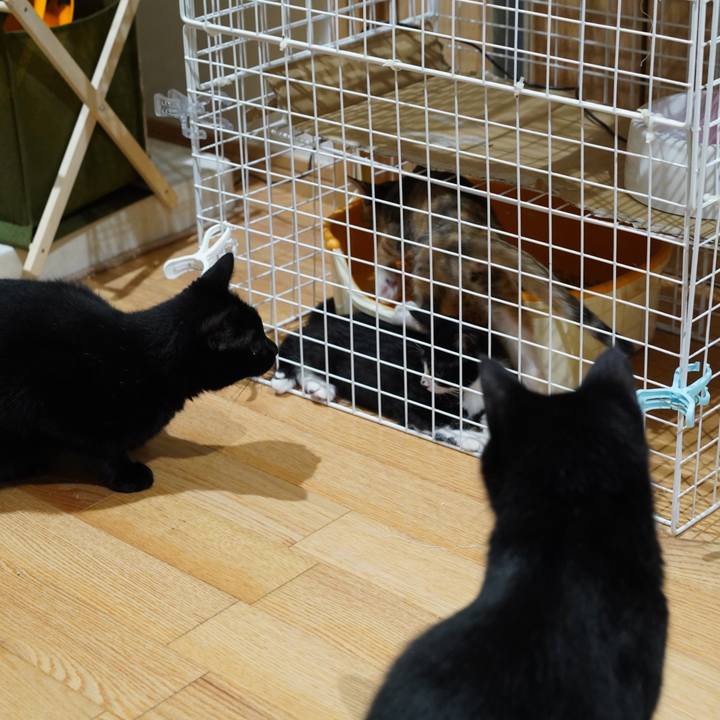 B40c0e5c db8e 413b ae85 82dab24cc803 1568953458044