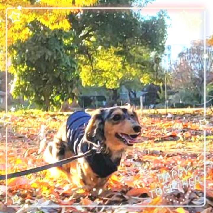 B40c4592 dffe 4b24 a117 2e27bd77effc 1765018821635