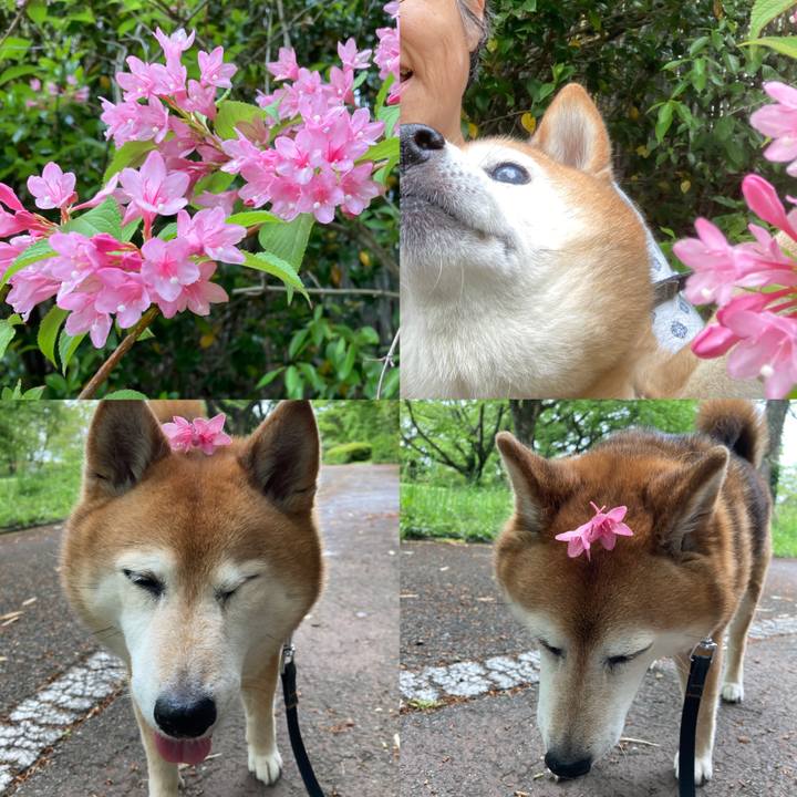 B40c6f92 6cc9 4fda a77d 9111518e6d1c 1714447725843