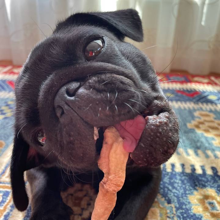 B40c8ae8 ef97 46b0 ada2 0673235ceb6a 1626047897399