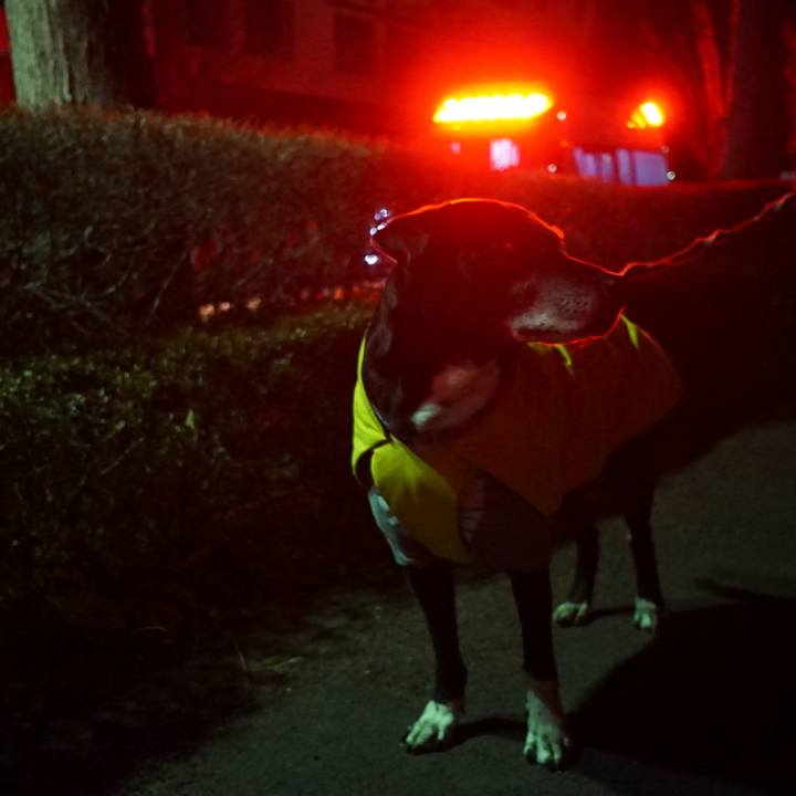 B40c980c 755c 4c1f a417 44fd1925b6b2 1769338531596