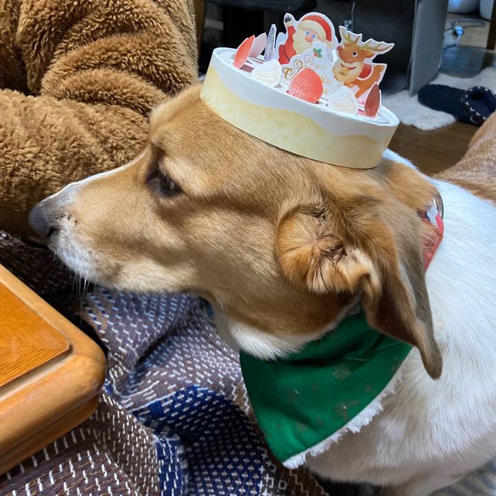 B40c9a59 9a81 4e49 8360 524782ad99cc 1735095232382