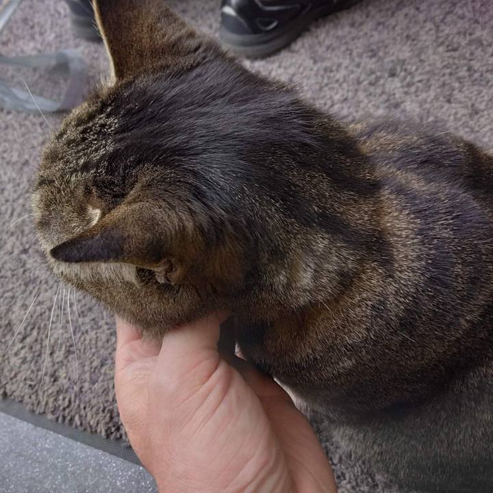 B40cac95 aa46 40e1 b073 18fb0c8722fd 1669694216741