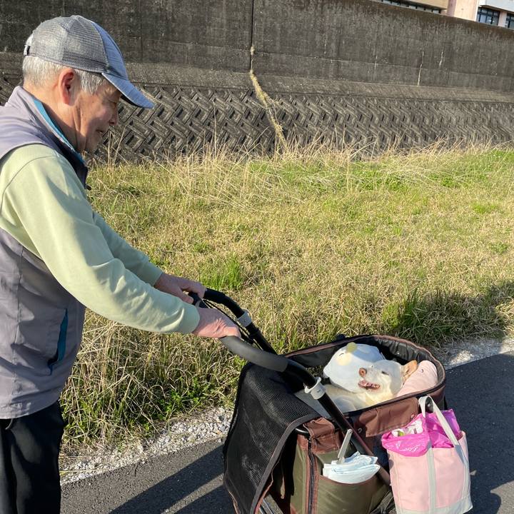 B40cb16d c685 4603 a23c 550ea689deba 1679996800542