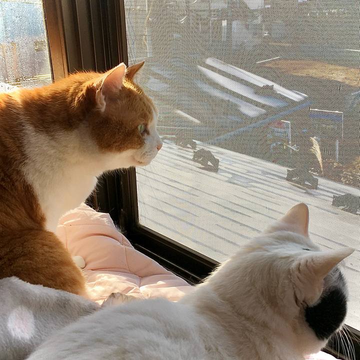 B40cbbad bd61 4d3e ab84 40f6efdabad1 1773207450516