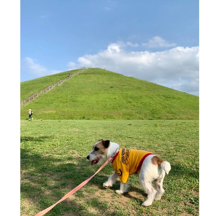 B40cc99d cc84 4c94 8013 6189d50d366b 1621080969837