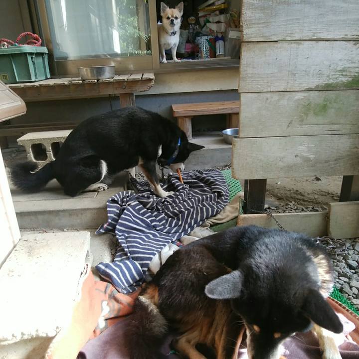 B40cd847 b250 4e0a 8142 cbbdf9179382 1540079951308