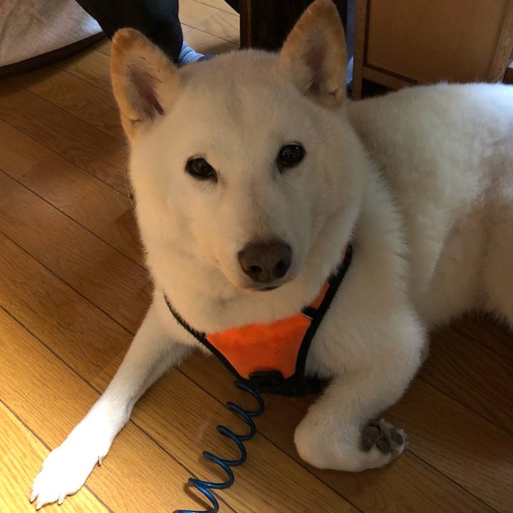 B40ce807 9b48 4d67 acd1 bc44995278a5 1634077530325