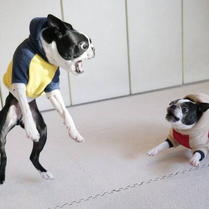 B40cf90d 97fa 4521 9909 3e0f0b24edc5 1544672562622