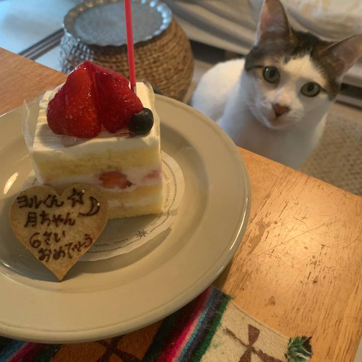 B40cf9da ce01 4cb8 8388 e8486bbb9a5f 1652429187233