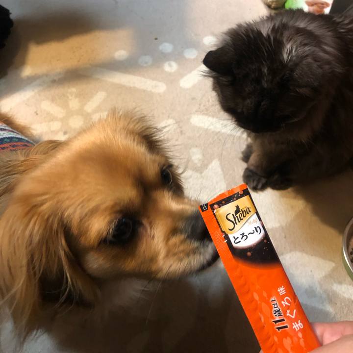 B40d09c7 831f 4e2a 8fa6 dd62c65cb553 1546897891502