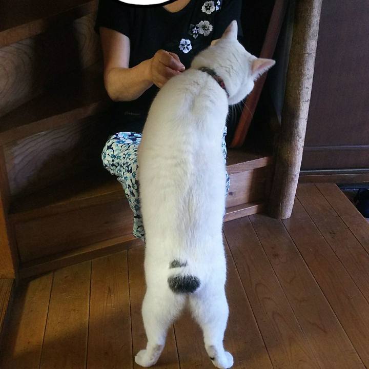 B40d484c ce0a 4cab b385 0442c6284c9e 1531577775755