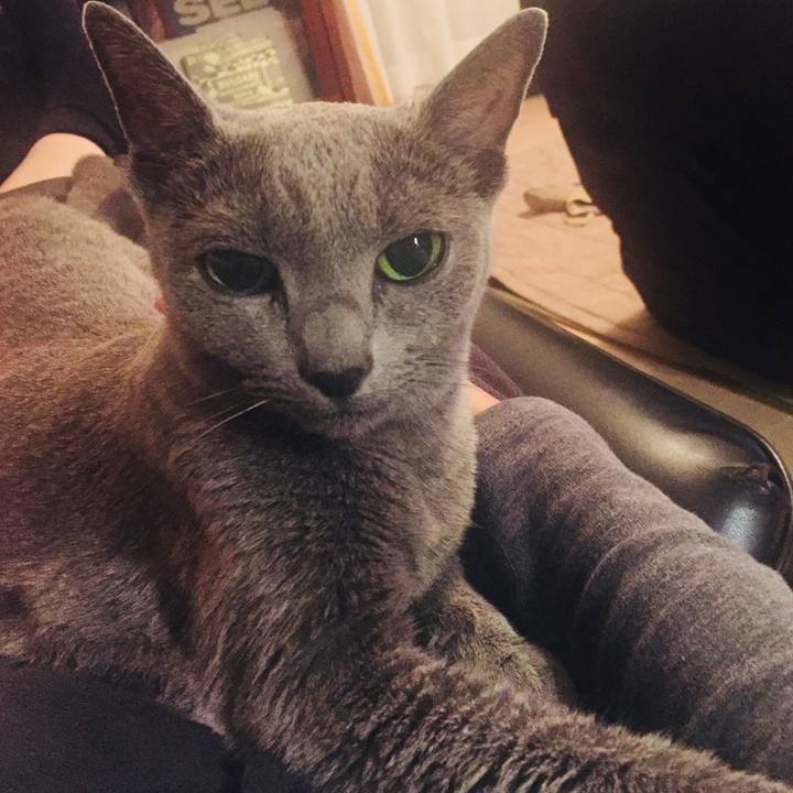 B40d727e fbd8 4cf2 8409 2293cbb83760 1539644547314